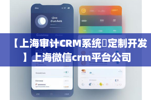 【上海审计CRM系统​定制开发】上海微信crm平台公司